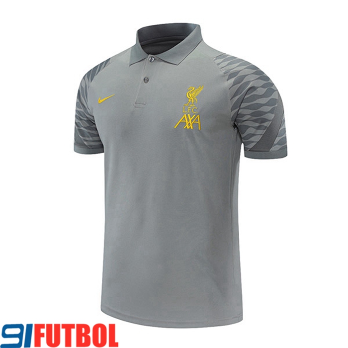 Camiseta Polo FC Liverpool Gris 2021/2022