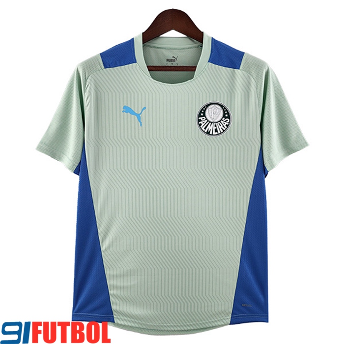 Camiseta Entrenamiento Palmeiras Verde 2022/2023