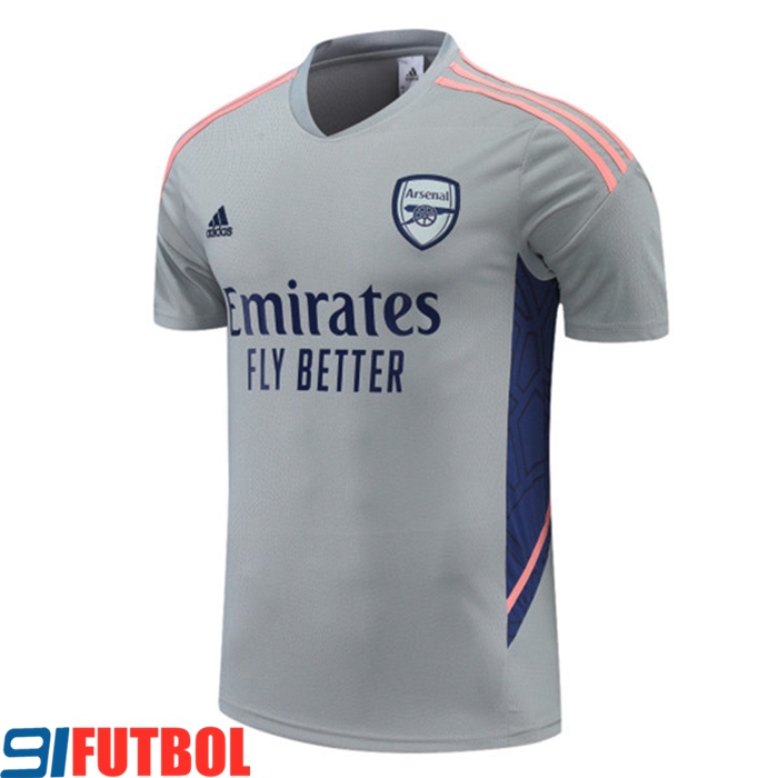 Camiseta Entrenamiento Arsenal Gris 2022/2023