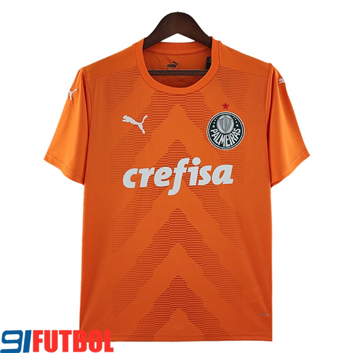 Camisetas De Futbol Palmeiras Portero Naranja 2022/2023