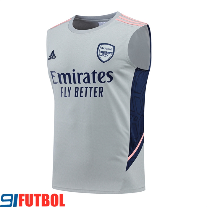 Camiseta Entrenamiento sin mangas Arsenal Gris 2022/2023
