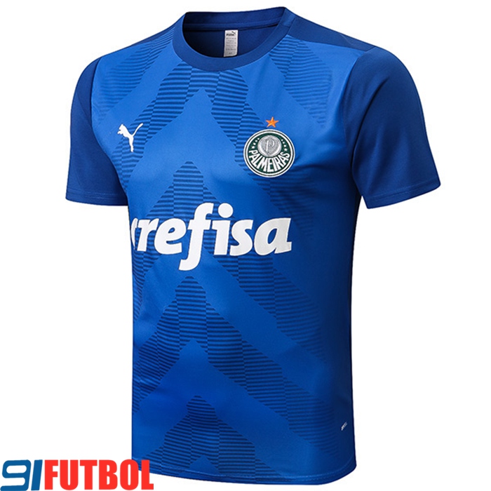 Camiseta Entrenamiento Palmeiras Azul 2022/2023