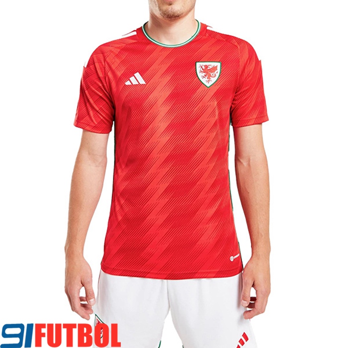 Nueva Camiseta Equipo Nacional Gales Segunda 2022/2023
